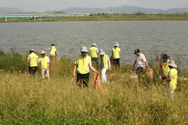 영산강에 지역주민, 시민단체, 공공기관 등 14개 기관․단체 200여명이 참여하여 긴급 정화활동을 전개하고 있다.