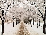 [인터넷좋은자료] 인천대공원-겨울 풍경과 일상의 단상들 