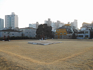 [탐방] 서울 동대문구 제기동 선농단역사공원, 천연기념물 제240호 향나무 