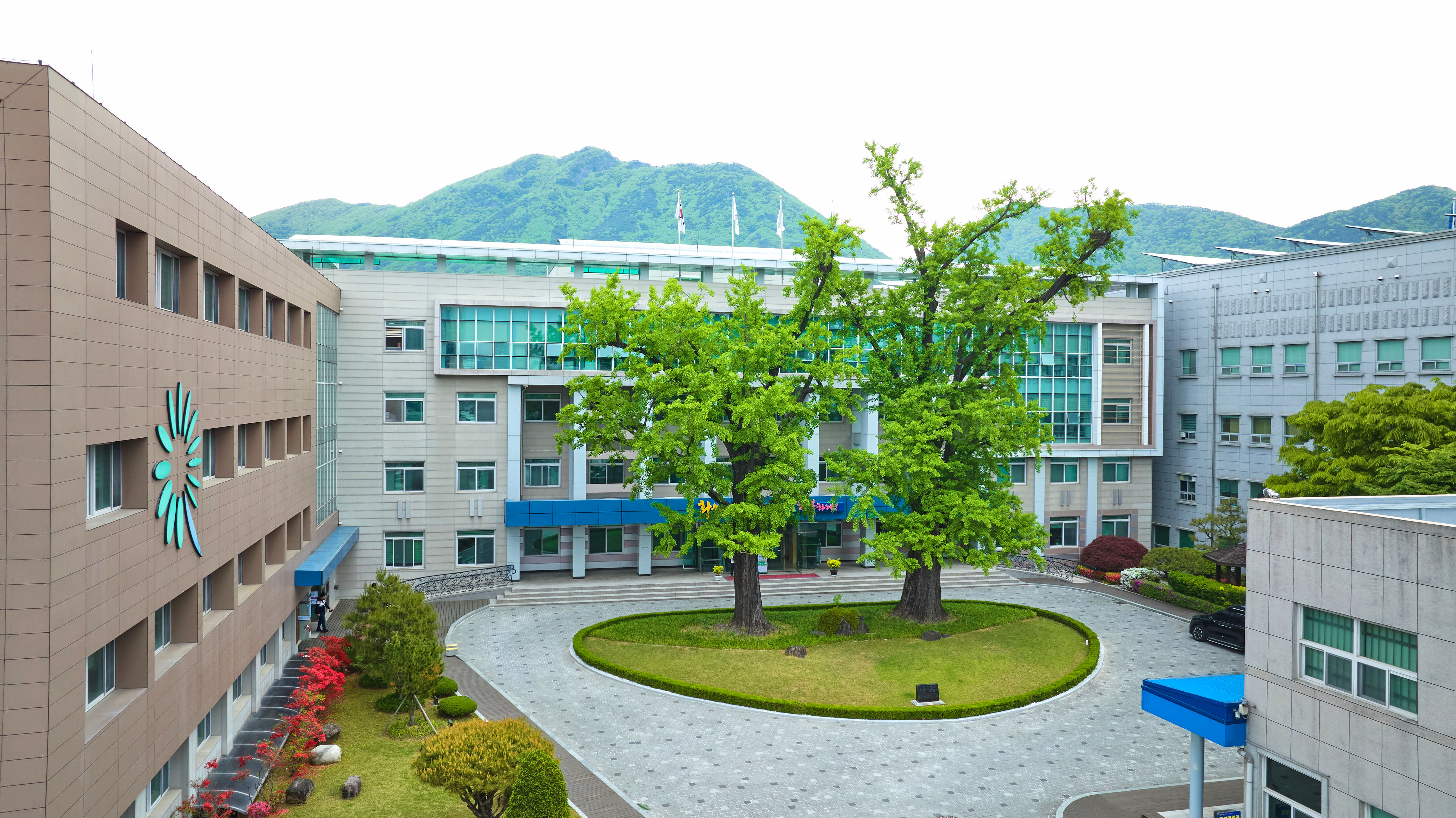 피우다 이미지